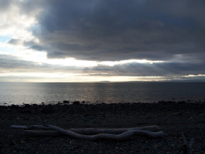 darksunsetscottsbaylowres.jpg